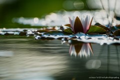 "... und es kam der Tag", Foto: Reiner Leifried